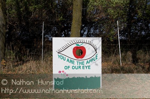 Apple_Orchard_2008-10-18_IMG_2354